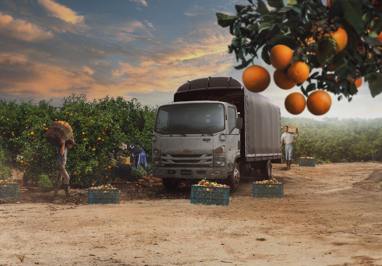 Camión Chevrolet cargando naranjas en una finca